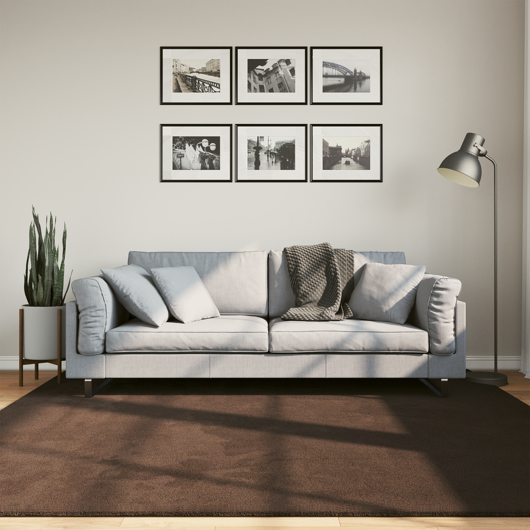 Medium luv blød og vaskbar tæppe HUARTE Brun 200 x 200 cm